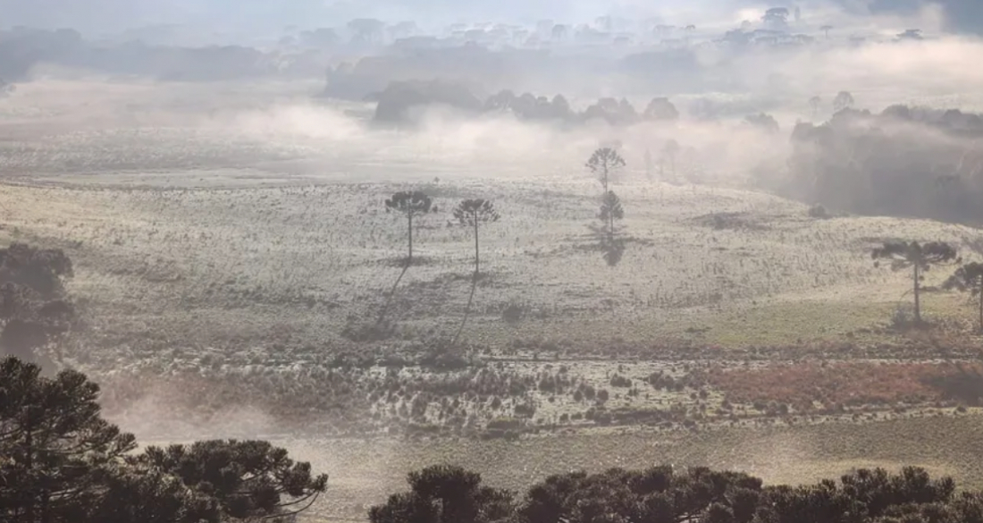 Massa de ar polar derruba as temperaturas neste final de semana em SC
