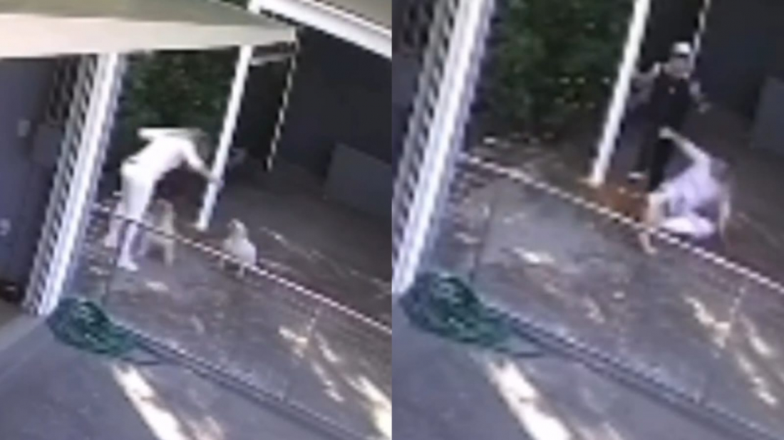 Influencer Elídia Feltrin sofre ataque do próprio cachorro