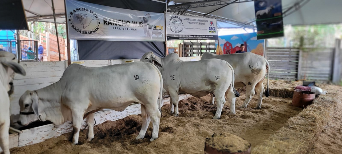Feira Agropecuária de Tubarão acontece até domingo (26)