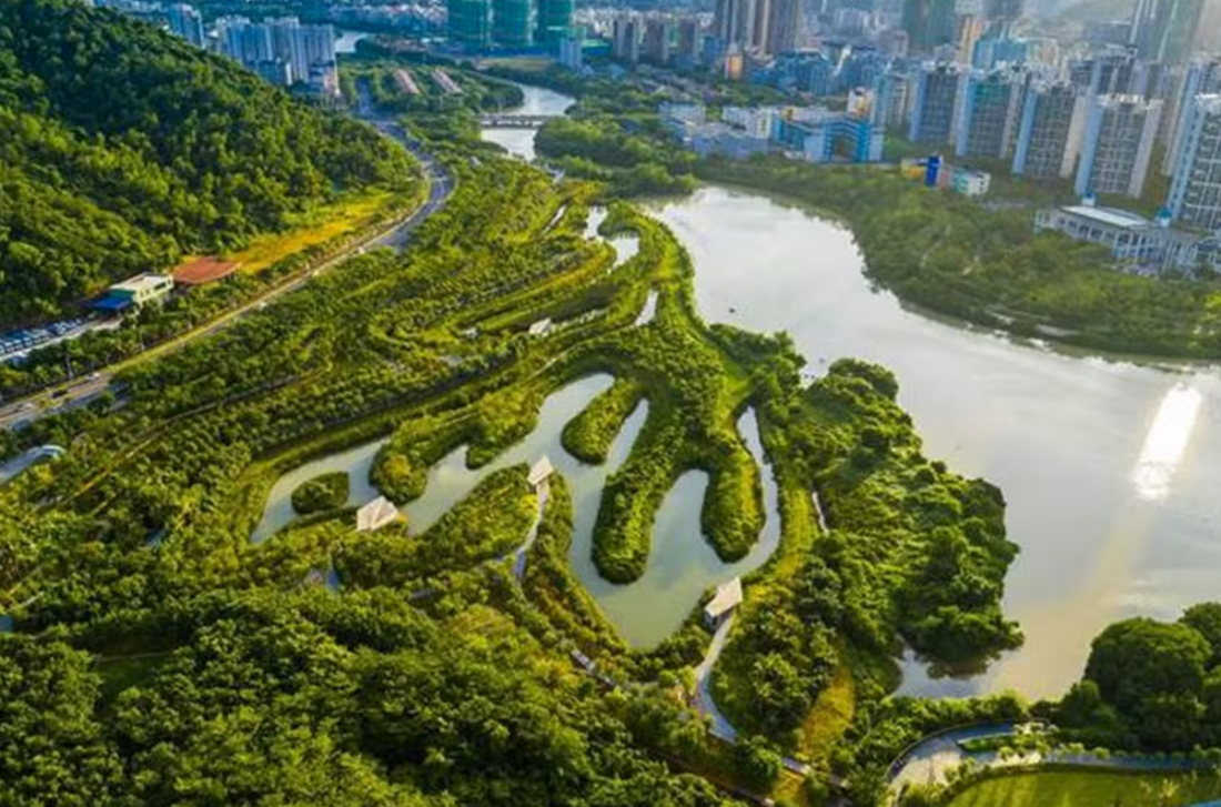 Como conter enchentes no Brasil, segundo criador das 'cidades-esponja': 'Barragens estão fadadas ao fracasso'