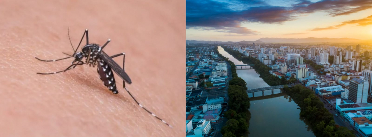 Tubarão confirma primeira morte por dengue no município