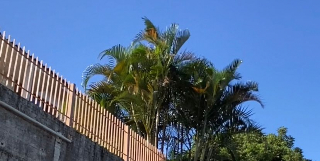 (Vídeo) Fortes rajadas de vento são sentidas em Tubarão e região; veja o que esperar