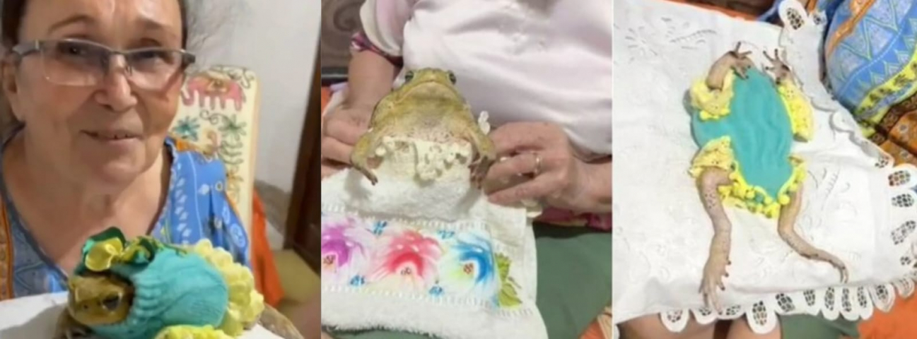 Idosa adota sapa que entrava na casa dela todos os dias, batiza de Sophia Loren e a veste com roupinhas no RN