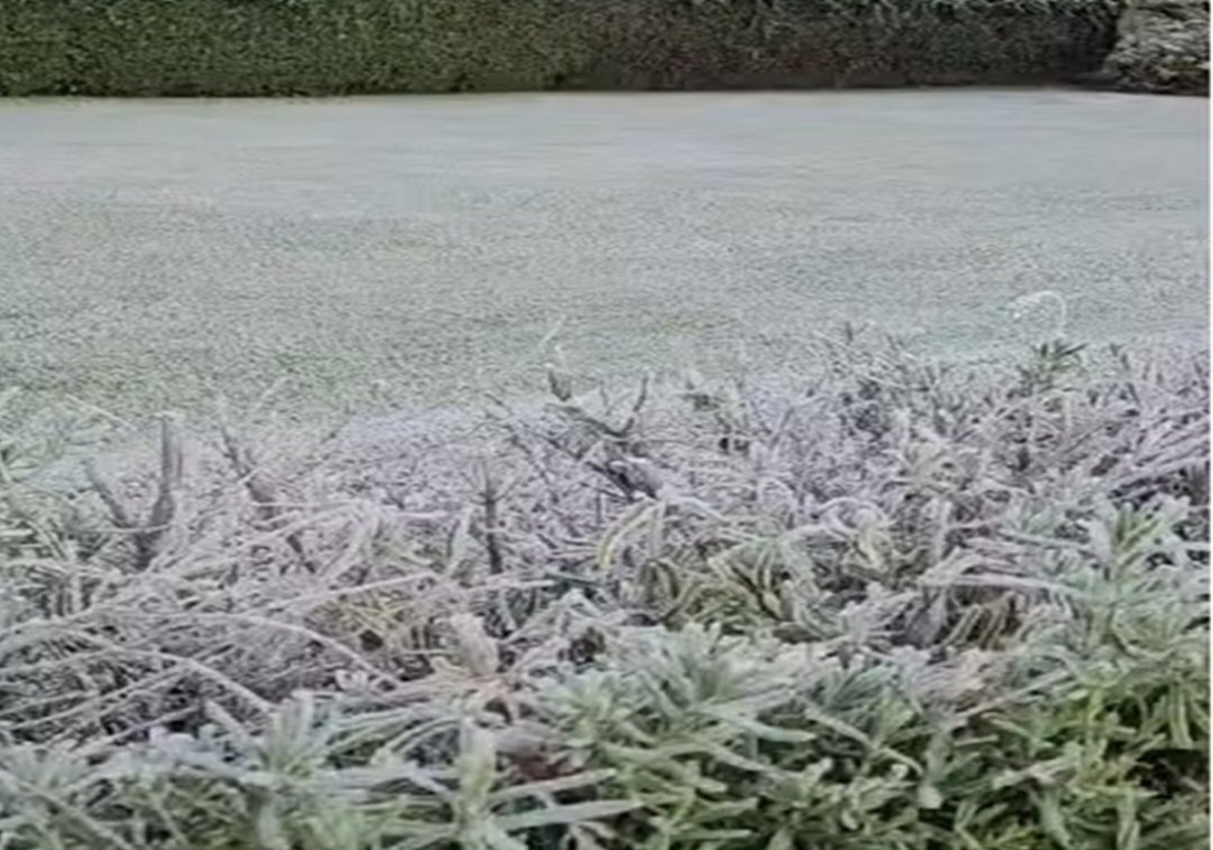 Geada passa pela Serra nesta quinta; quatro cidades tem temperatura abaixo de 0º C