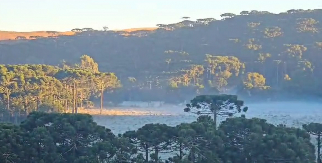 FOTOS: Bom Jardim da Serra registra -3°C e tem a menor temperatura de 2024 em SC