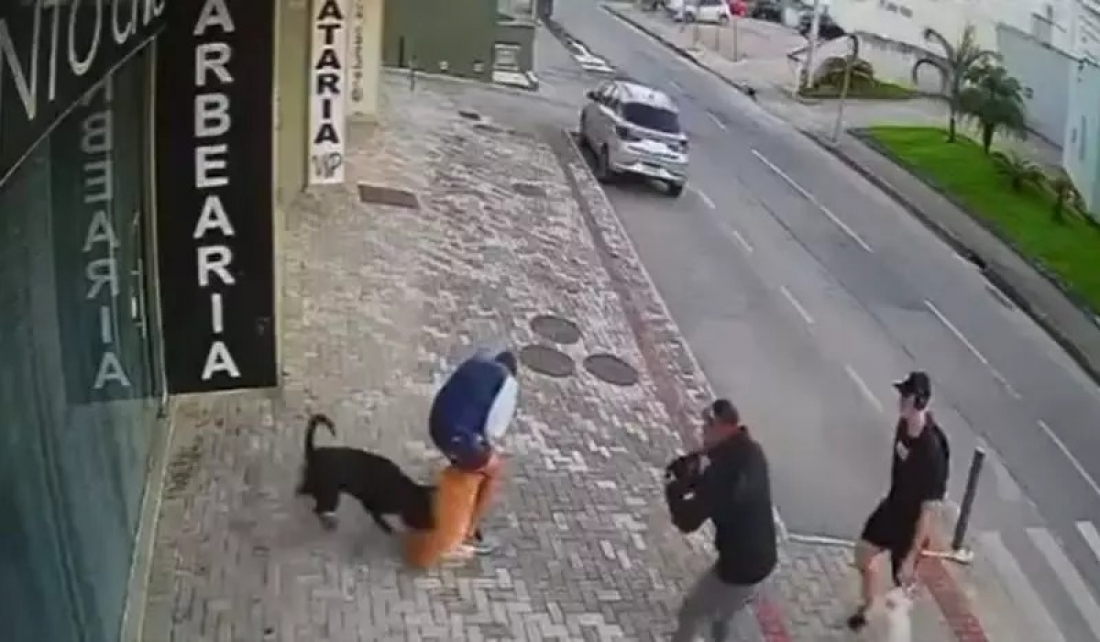SC: Rottweiler ataca cães e pedestres e assusta comunidade