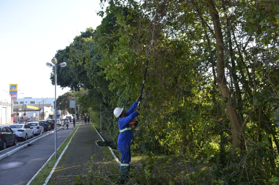 Tubarão intensifica poda de árvores da beira-rio: “trazer tranquilidade e segurança”