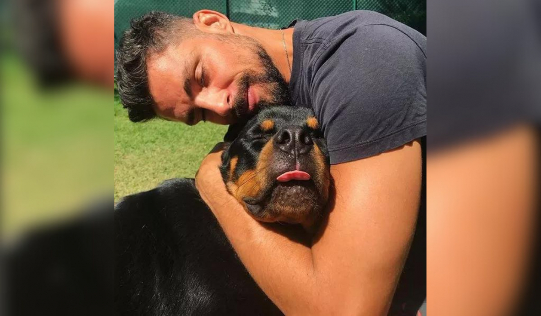 Morre cachorro de Cauã Reymond após envenenamento