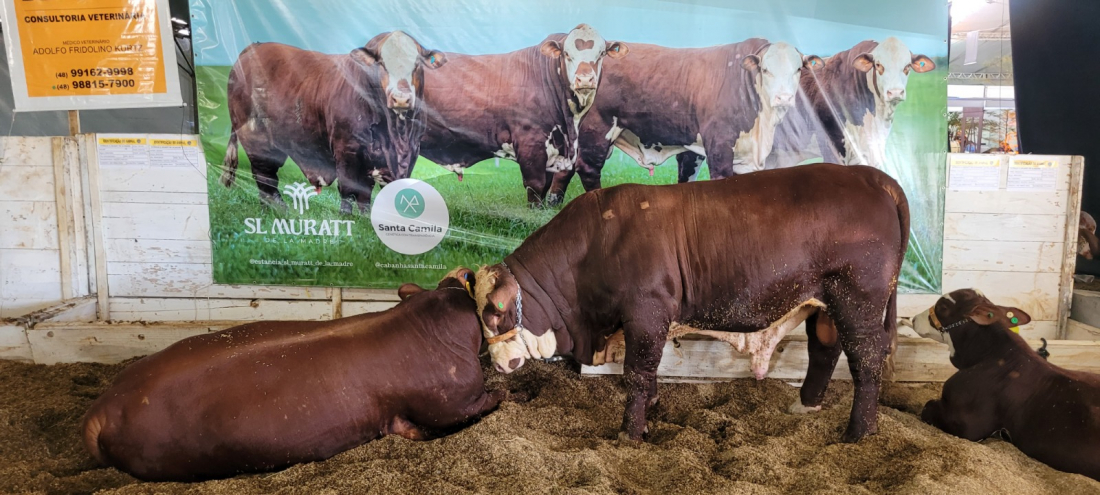 6ª edição da Feira Agropecuária de Tubarão recebeu mais de 12 mil visitantes