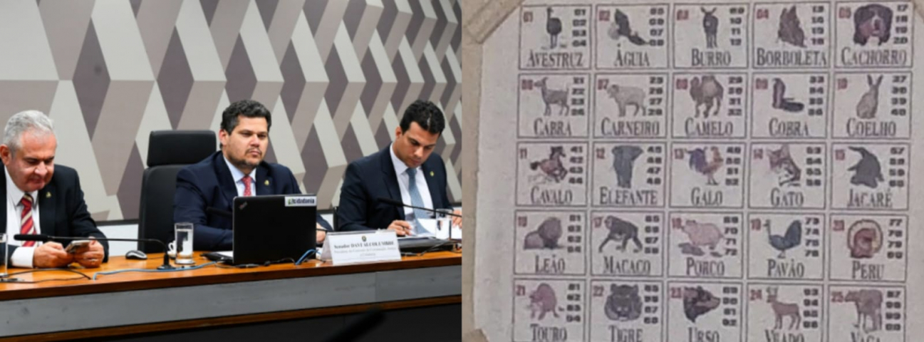 CCJ do Senado aprova liberação de cassinos, bingos e jogo do bicho
