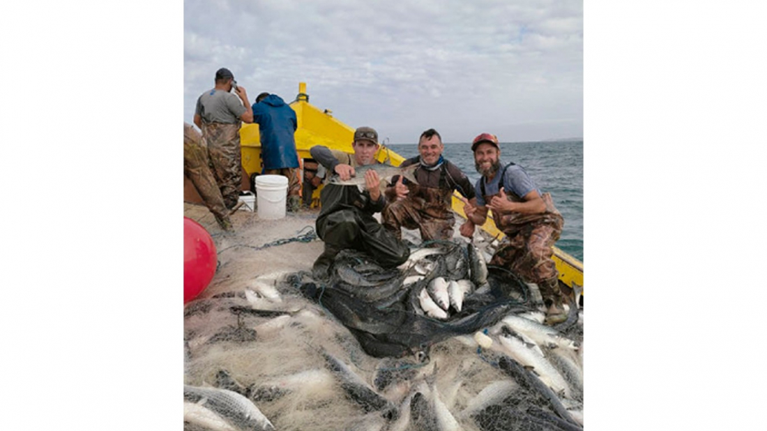 Dia do pescador: conheça a rotina e os desafios de pescadores do Farol de Santa Marta