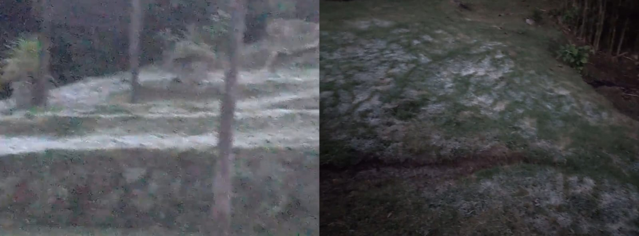 Frio de lascar: geada esbranquiça grama em Pedras Grandes no amanhecer deste domingo (30)