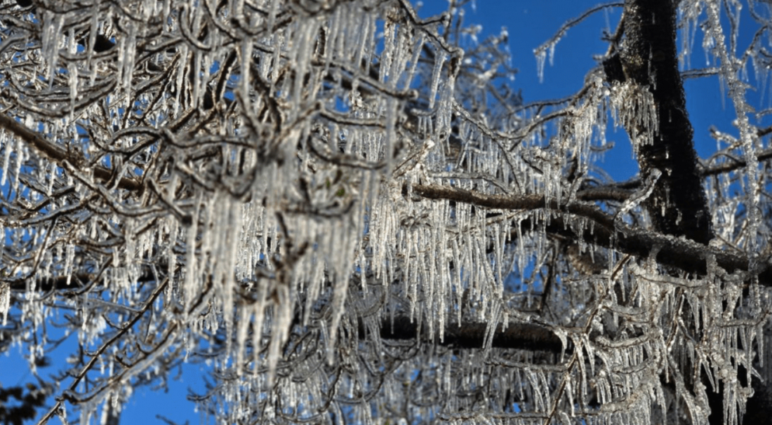 Cidades de SC registram temperaturas negativas pelo quarto dia seguido 