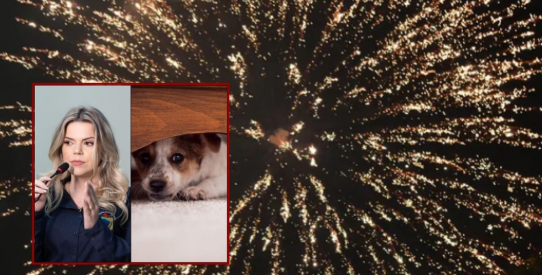 Projeto de Lei visa proibir fogos de artifício com barulho em Capivari de Baixo