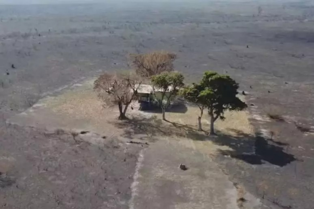 Brasil: casa resiste a incêndios no Pantanal em área que teve vegetação devastada