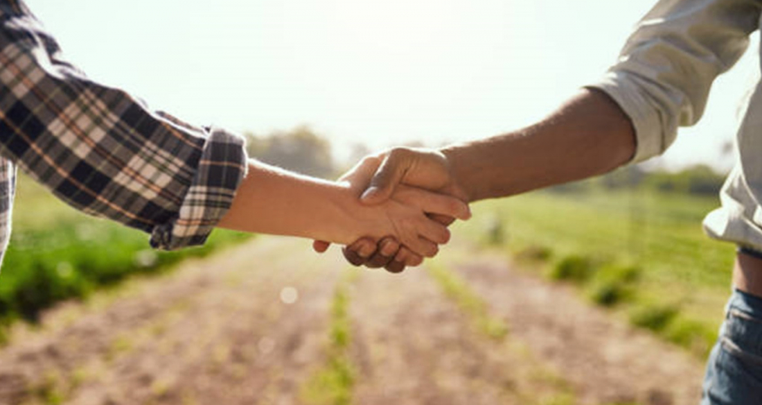 Cooperativismo em SC movimentou R$ 85,9 bilhões em 2023