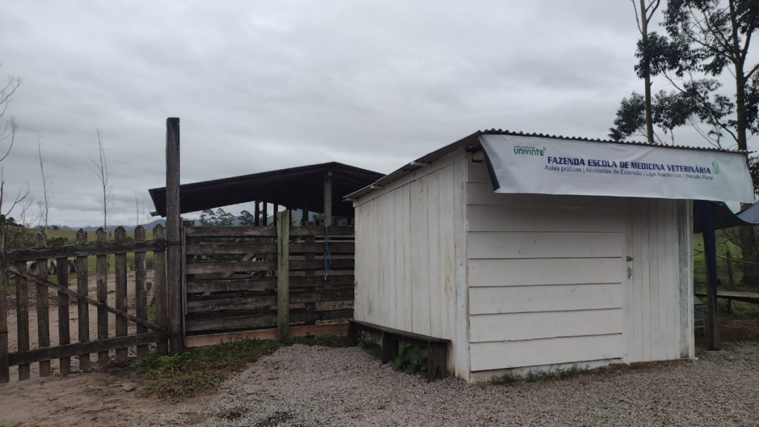 Fazenda Escola Univinte: formação prática e inovadora para futuros veterinários
