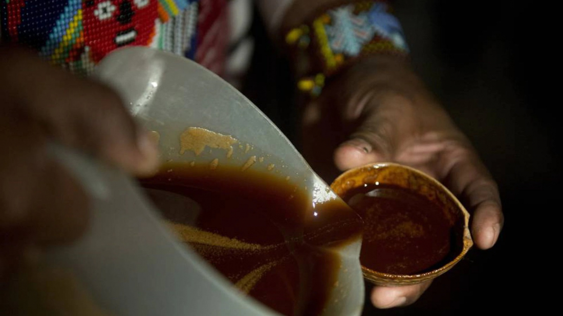Brasil: Justiça proíbe que criança tome chá de Ayahuasca em cultos com a mãe