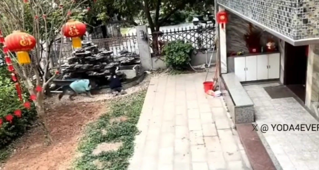 Cachorro evita que criança caia em fonte e vídeo viraliza; assista