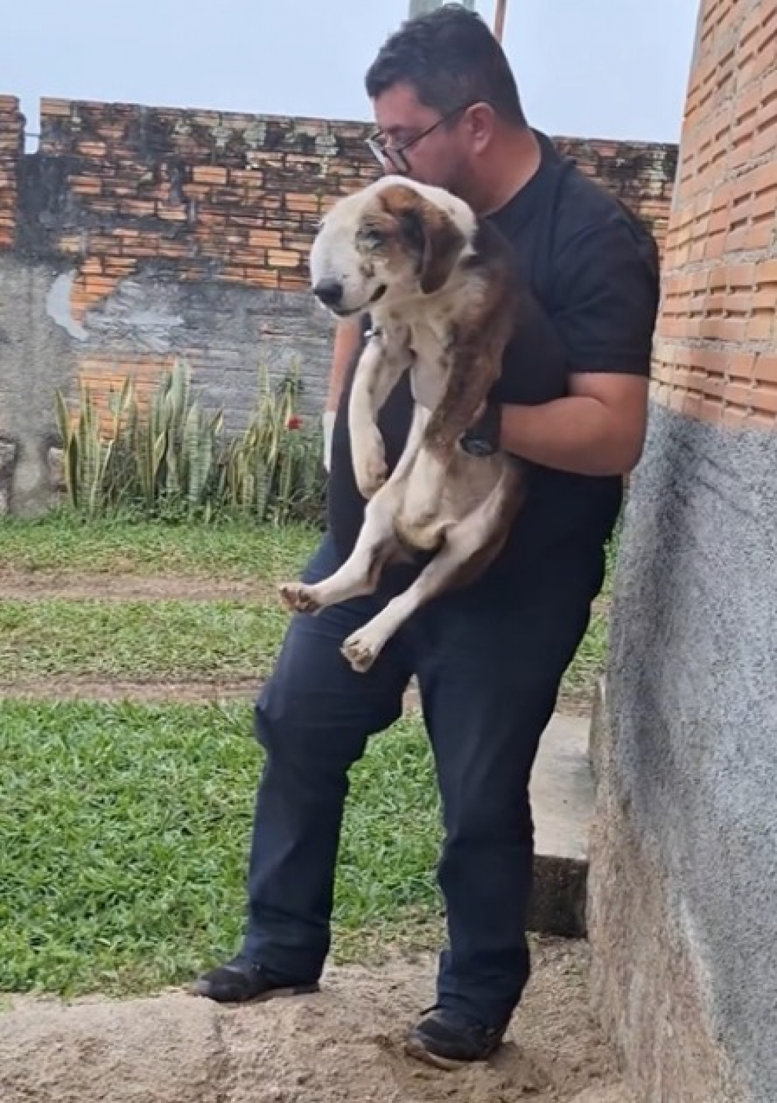 Cãozinho em situação de maus-tratos é resgatado no Sul de SC
