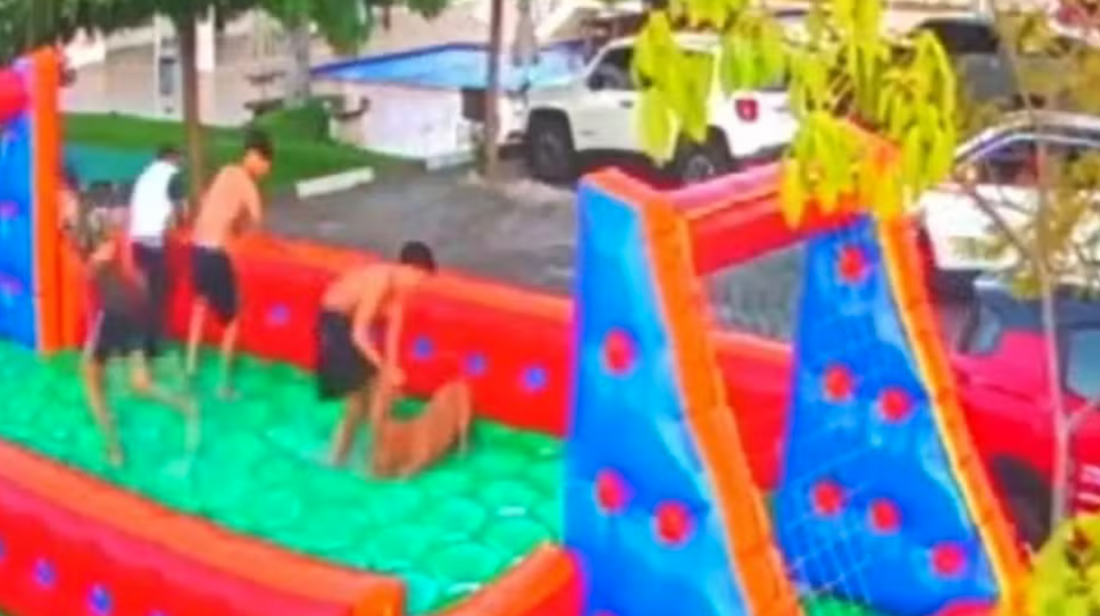VÍDEO: cinco pessoas ficam feridas após serem atacadas por cachorro em festa infantil na BA