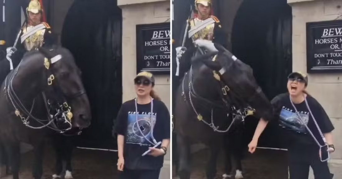 Turista desmaia após levar baita mordida de cavalo da realeza britânica
