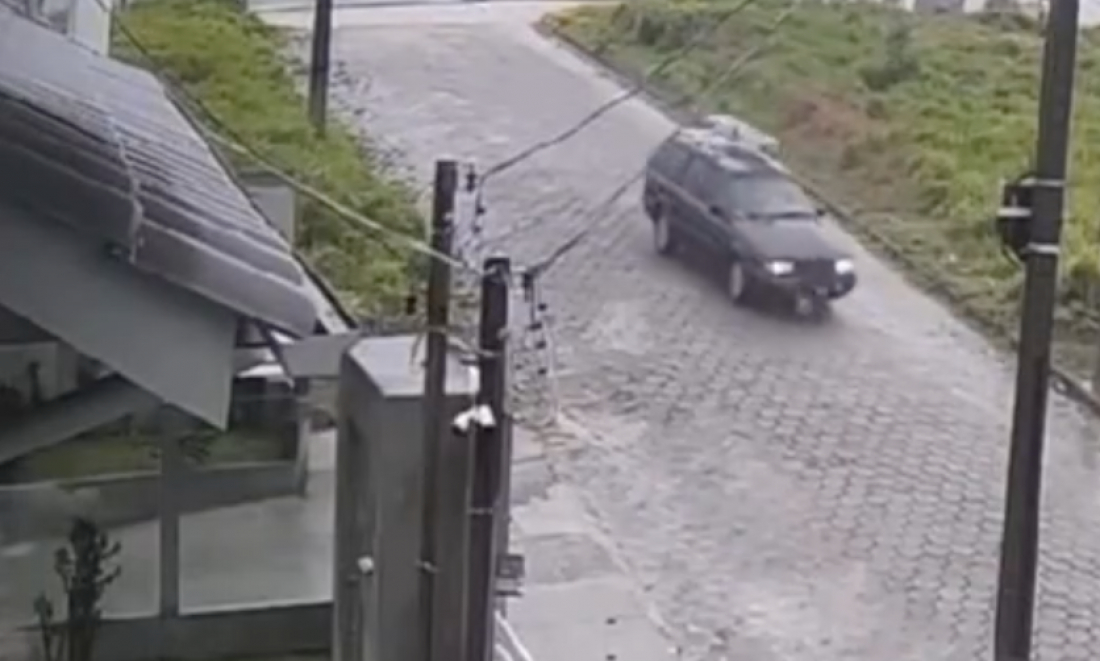 (Vídeo) Imagens fortes: Motorista atropela e mata cachorro em Morro da Fumaça