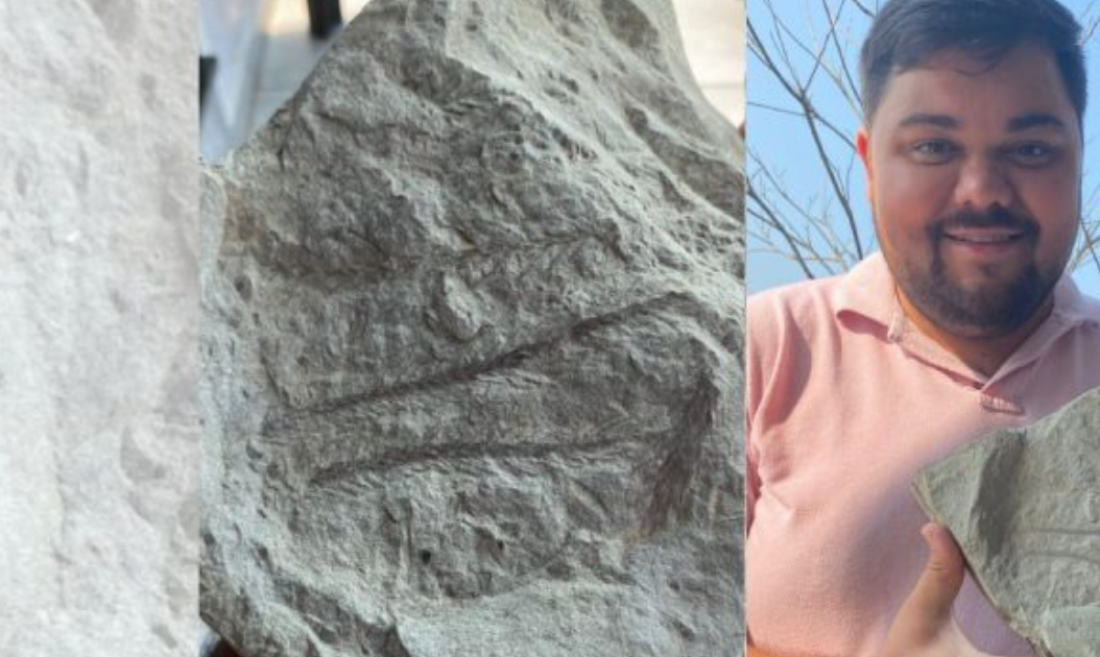 Peregrinos encontram fóssil de cerca de 270 milhões de anos em SC