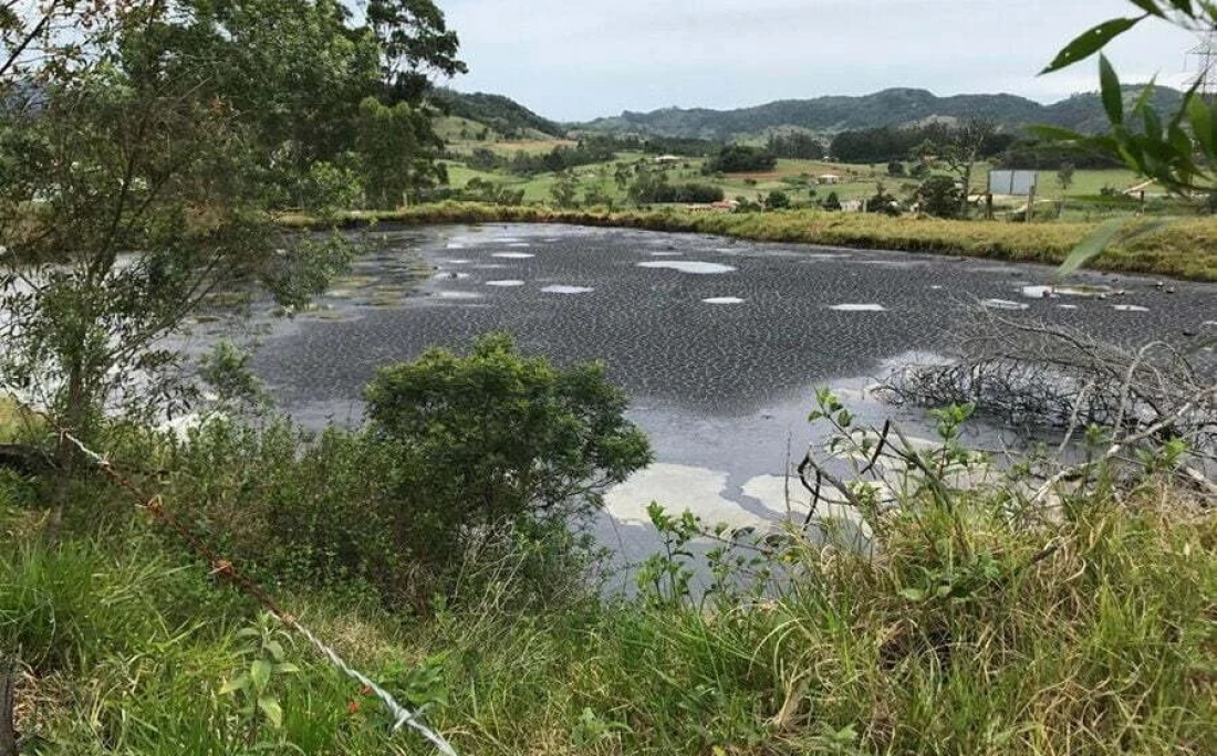 Deputado pede providências para recuperação da Lagoa do Óleo