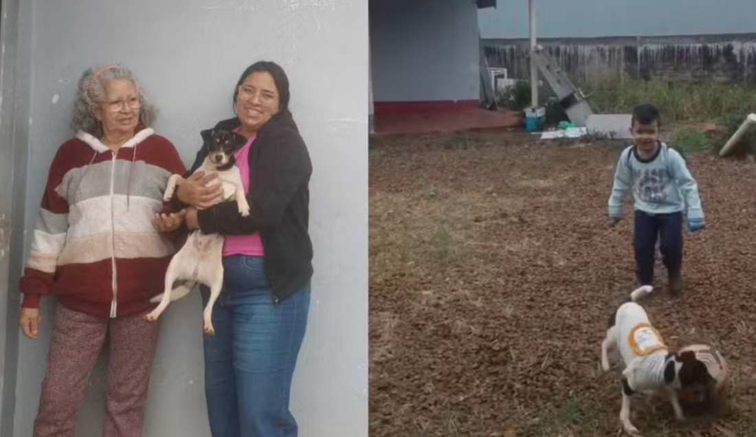 Vídeo mostra criança vítima de acidente brincando com cachorrinha horas antes do voo