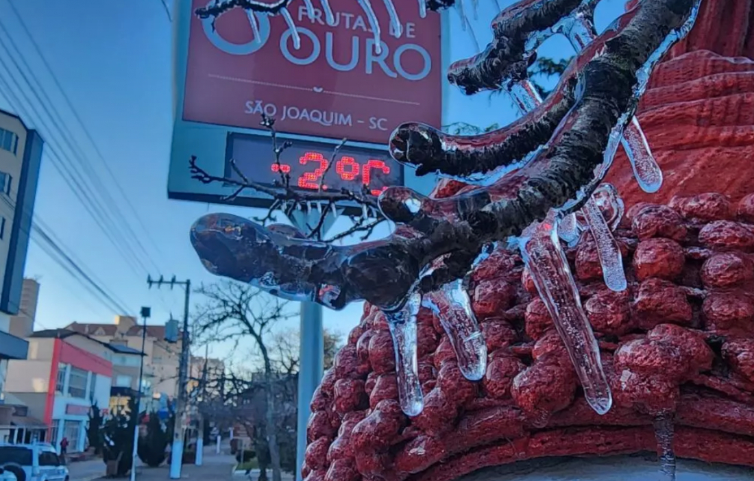 Serra de SC amanhece com temperaturas negativas e árvores congeladas