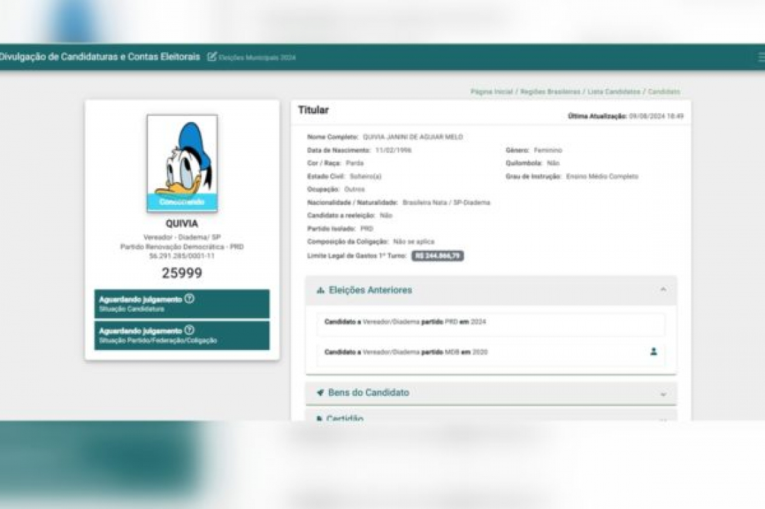 Eleições 2024: candidata é registrada com foto do Pato Donald em Diadema (SP)