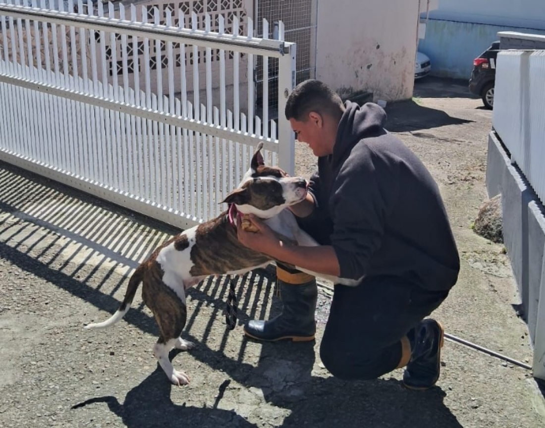 Cão vítima de maus-tratos é adotado após campanha da Polícia Civil de Tubarão