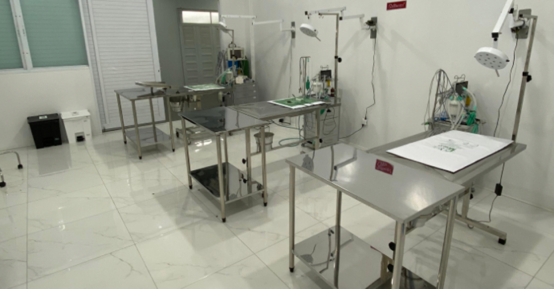 Clínica Veterinária Univinte: um pilar de saúde animal em Capivari de Baixo