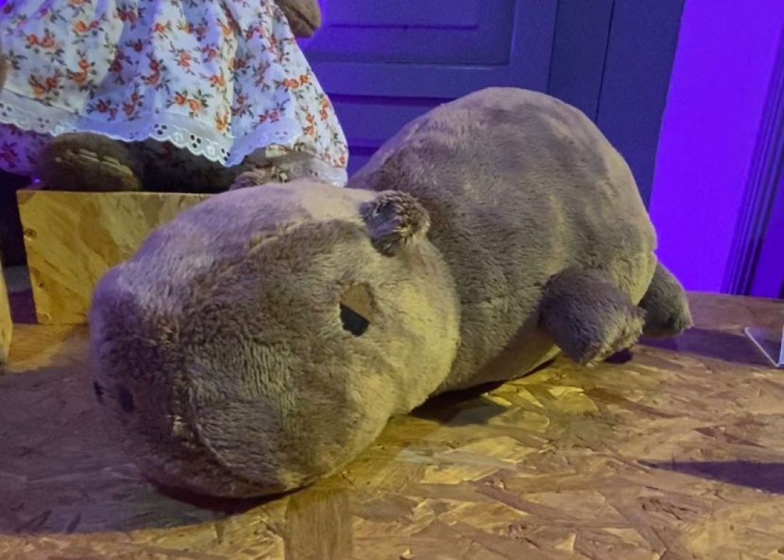 (Vídeo) 3ª turma do 'Tubarão É Mais Criativa' transforma cultura tubaronense em produtos