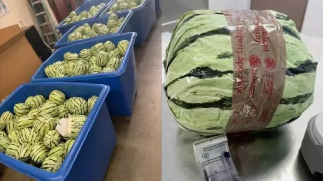 Polícia acha duas toneladas de metanfetaminas em melancias falsas nos EUA