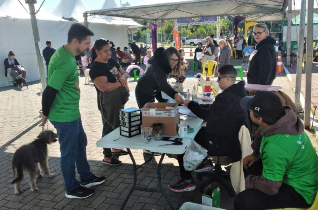 Mutirão castra 133 cães e gatos em Tubarão