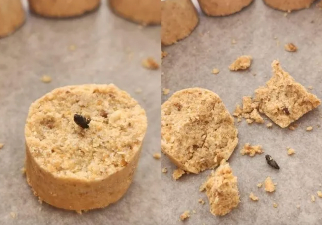 No país: Homem come Paçoquita com fezes de rato e empresa é condenada; 'a que eu mais gostava', diz