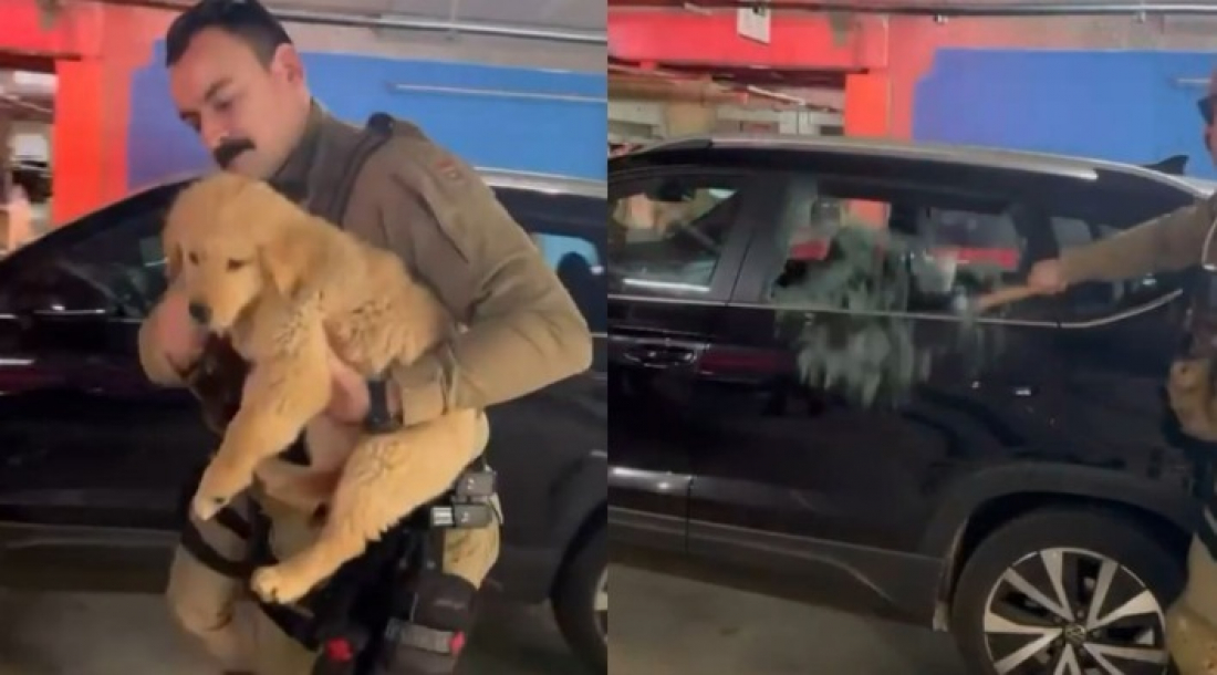 SC: policial quebra vidro e salva cachorro preso dentro de carro
