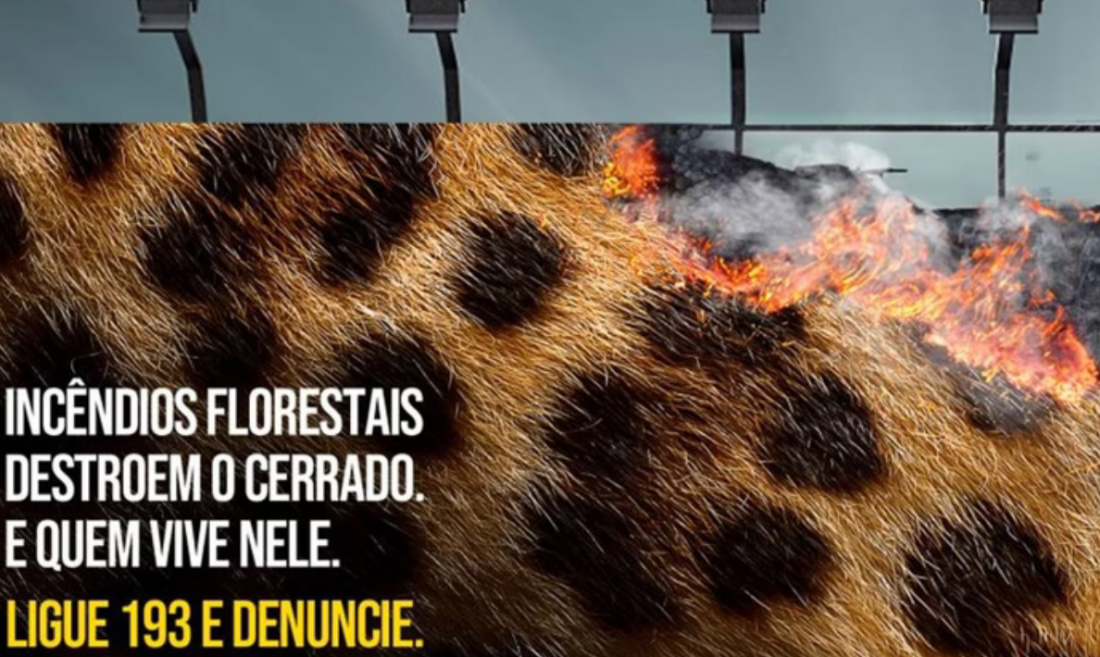 (Vídeo) Goiás faz campanha contra queimadas com fogo e fumaça 'vivos'; assista