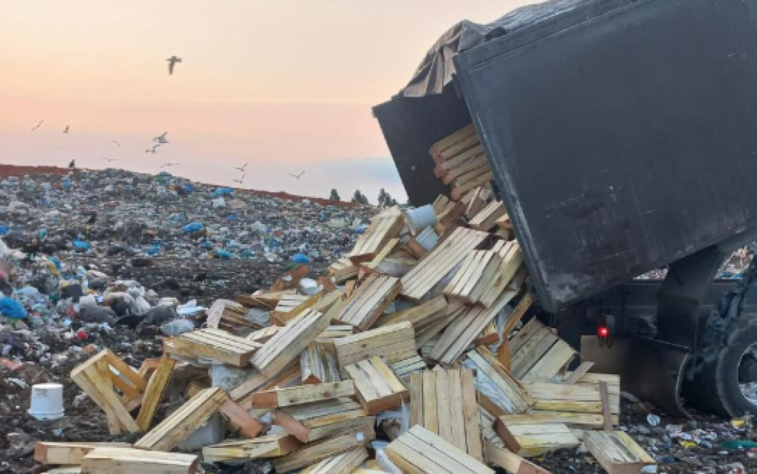 Fiscalização em Laguna apreende 35 toneladas de alimentos de origem animal impróprios para consumo