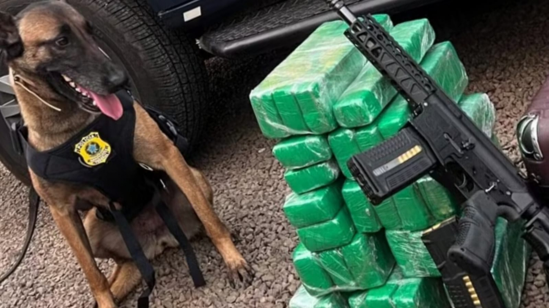 Em SC: adolescente que viajava de ônibus com fuzil é detida