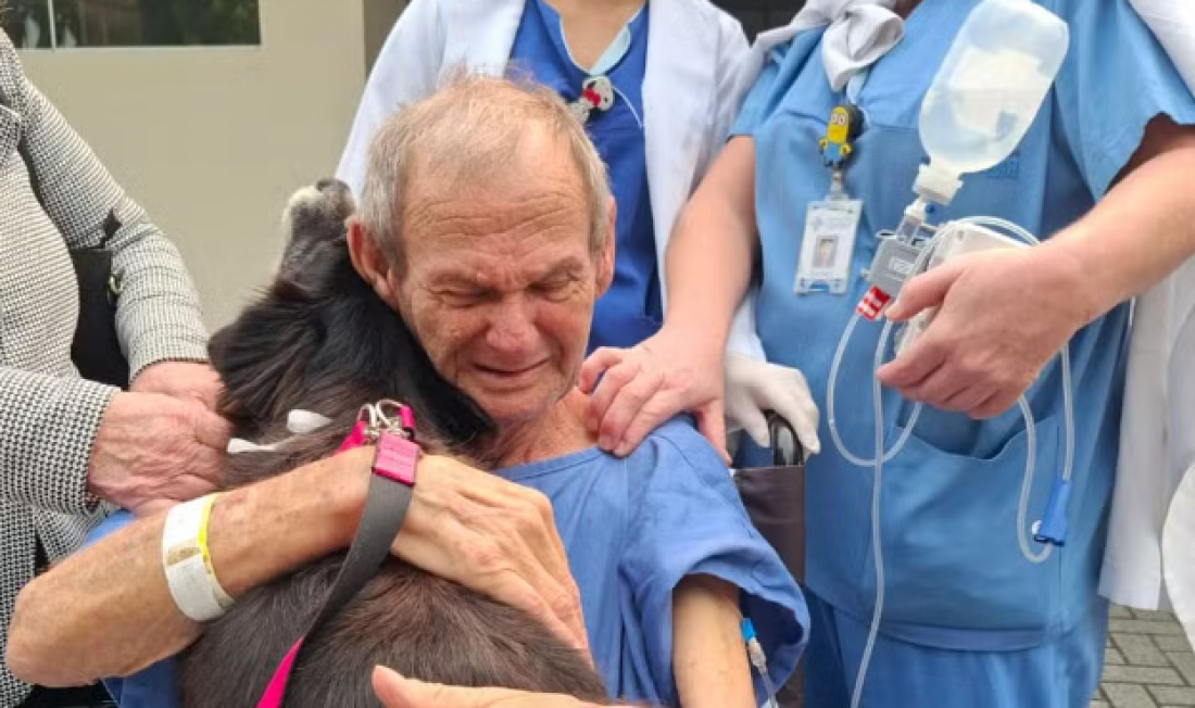 (Vídeo) Paciente internado na UTI em hospital de SC se emociona ao receber visita de fiel cachorrinha
