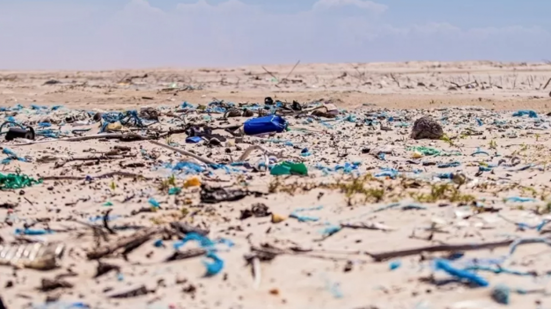 Pântano do Sul, em Florianópolis, é a praia mais poluída do país, diz estudo da USP