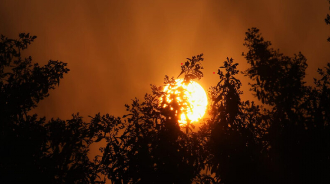 Onda de calor traz temperatura de 40°C e deixa SC em alerta de perigo para a saúde