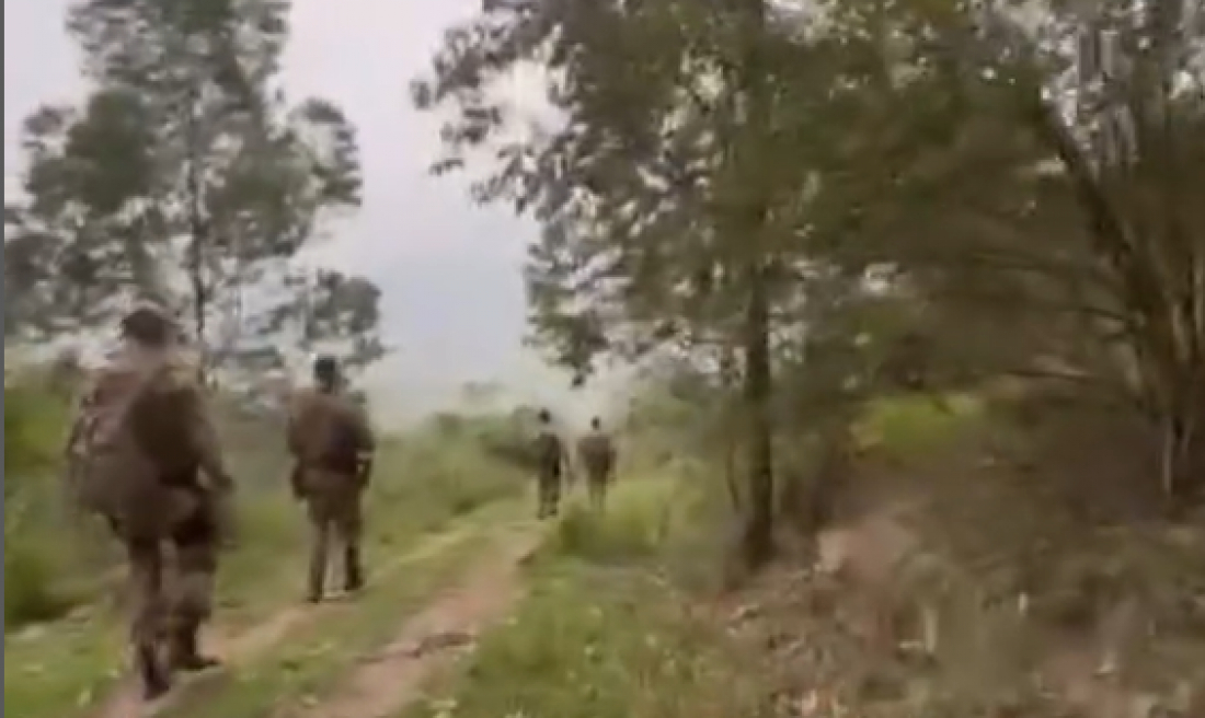 (Vídeos) Policiais vasculham na mata em busca de homem que matou a irmã em Gravatal