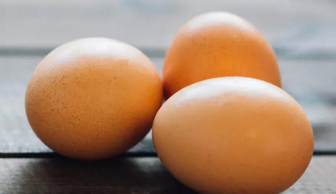 Produção de ovos cresce e atinge recordes em Santa Catarina em 2023, segundo IBGE