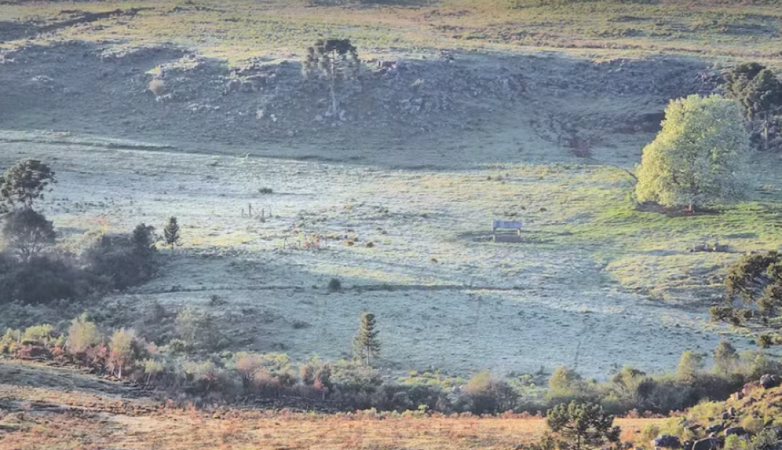 Geada é registrada em plena primavera de sol na Serra de SC
