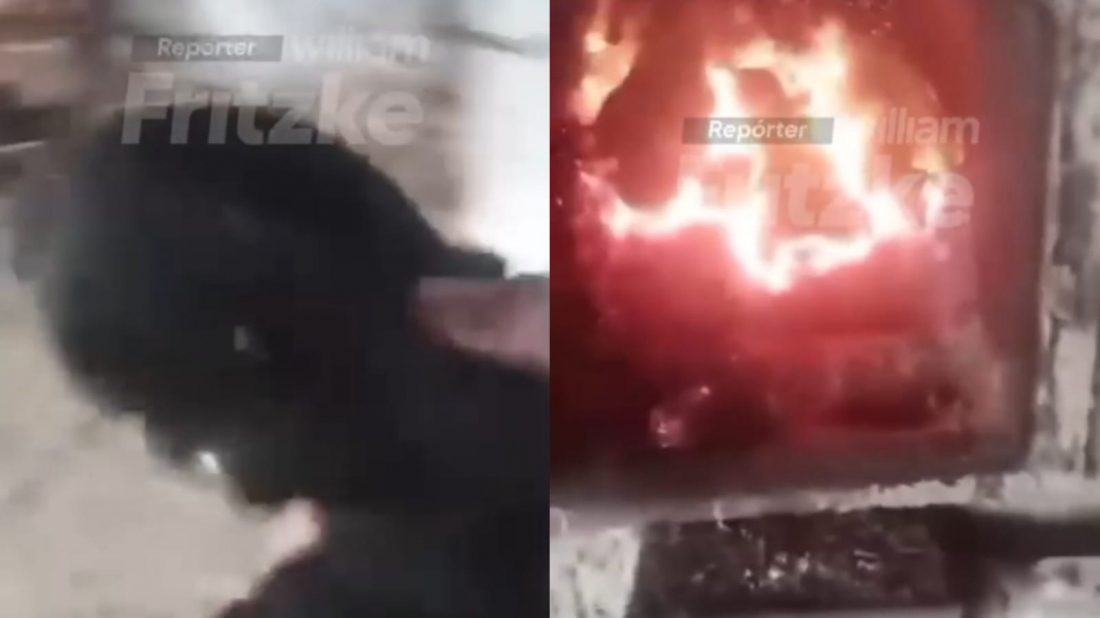 Em SC: menino de 14 anos joga filhotes de cachorro em fornalha e filma para amigos