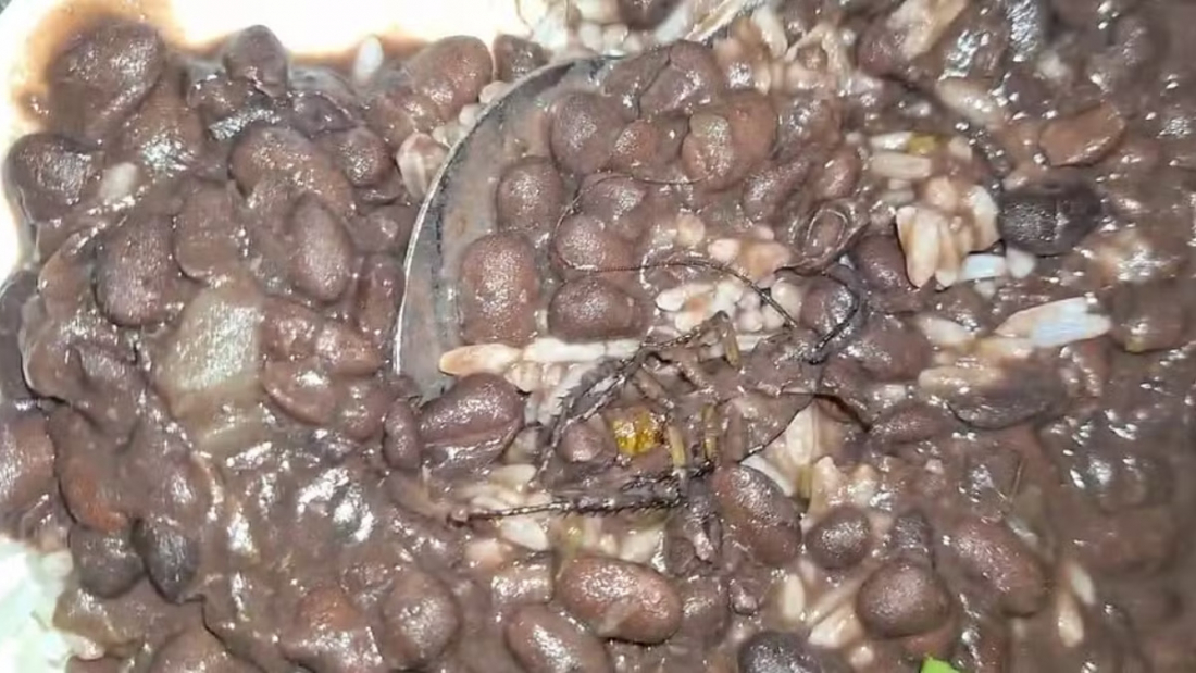 Barata é encontrada dentro de feijão servido na UFSC